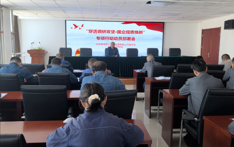 工投公司黨委召開“穿透調(diào)研攻堅·國企提質(zhì)煥新”專項行動動員部署會