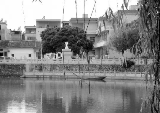 老鄉(xiāng)眼里的李河君：陌生富豪，夫人助其發(fā)財(cái)